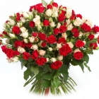 Елена Нуруллина